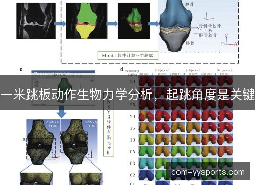 一米跳板动作生物力学分析，起跳角度是关键